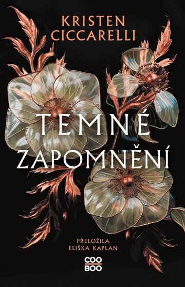 Obálka knihy Temné zapomnění