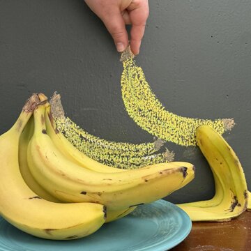 Obálka uvítací melodie Banana peel