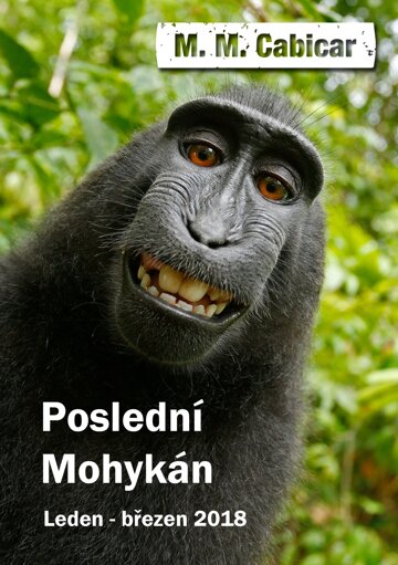 Obálka knihy Poslední Mohykán