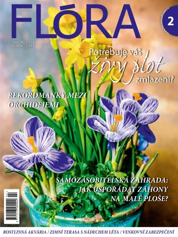 Flóra 2/2023
