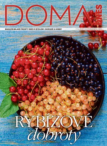 Obálka e-magazínu Doma DNES 8.7.2020