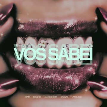 Obálka uvítací melodie Vos Sabei (feat. Salinas, Larousse) (Explicit)