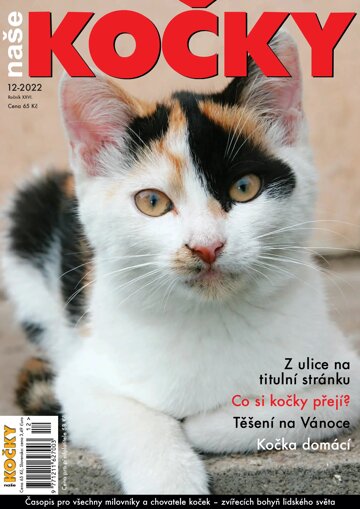 Obálka e-magazínu Naše kočky 12/2022