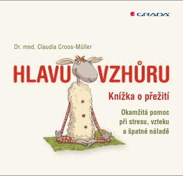 Obálka knihy Hlavu vzhůru