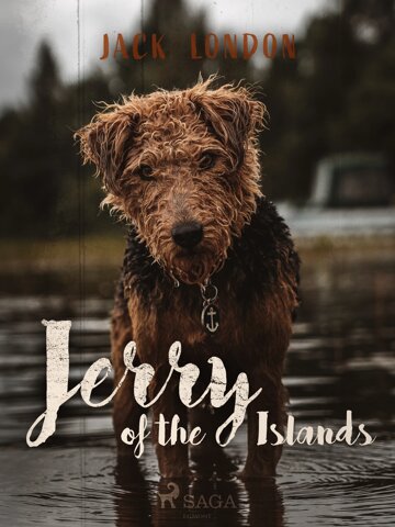 Obálka knihy Jerry of the Islands