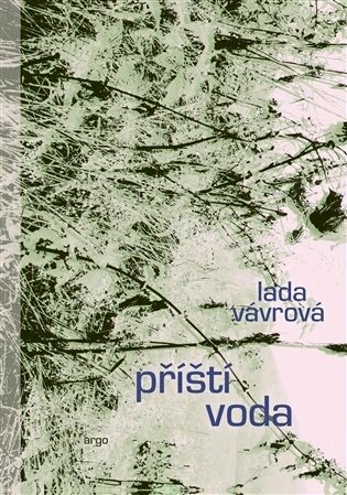 Obálka knihy Příští voda