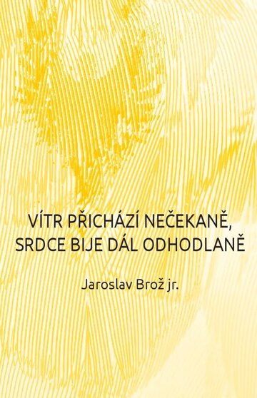 Obálka knihy Vítr přichází nečekaně, srdce bije dál odhodlaně