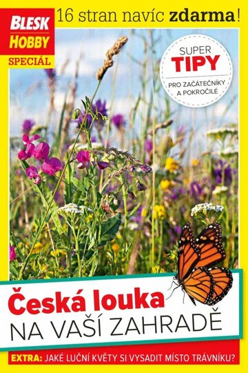 Obálka e-magazínu Příloha Blesk Hobby 2.6.2021