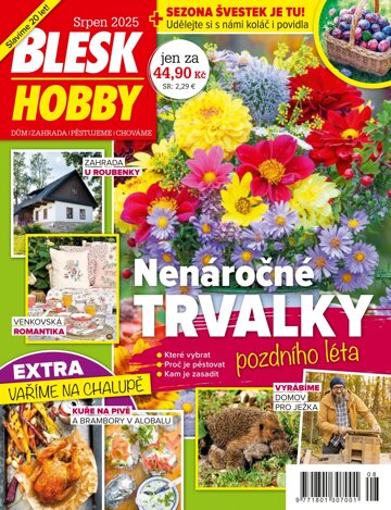 Obálka e-magazínu Blesk Hobby 8/2025