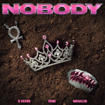 Obálka uvítací melodie Nobody (feat. Monaleo & G Herbo) [Remix] (Explicit)
