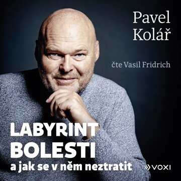 Obálka audioknihy Labyrint bolesti