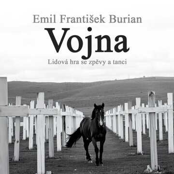 Obálka audioknihy Vojna