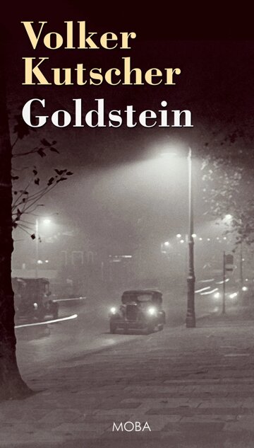 Obálka knihy Goldstein