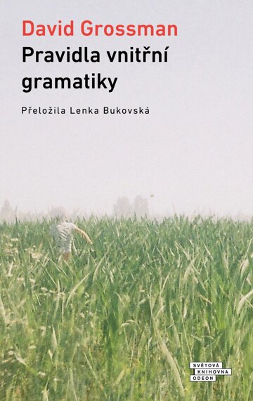 Obálka knihy Pravidla vnitřní gramatiky