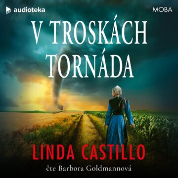 Obálka audioknihy V troskách tornáda
