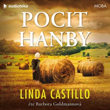 Obálka audioknihy Pocit hanby