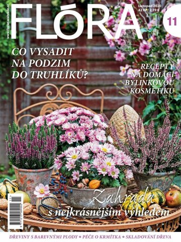 Obálka e-magazínu Flóra 11/2020