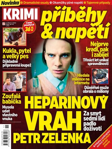 Obálka e-magazínu Krimi revue - příběhy a napětí 11/22