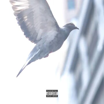 Obálka uvítací melodie The Cut