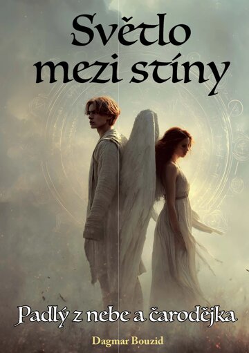 Obálka knihy Světlo mezi stíny