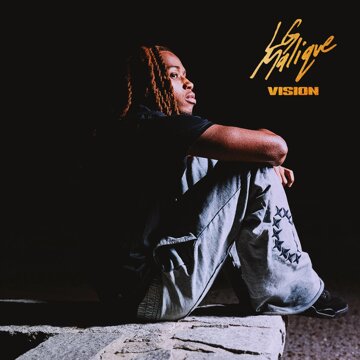 Obálka uvítací melodie Vision