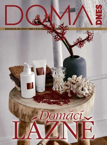 Obálka e-magazínu Doma DNES 17.2.2021