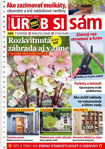 Obálka e-magazínu Urob si sám 12/2021