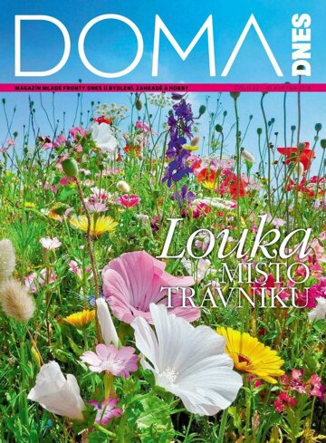 Obálka e-magazínu Doma DNES 30.5.2018