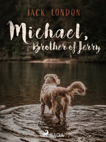 Obálka knihy Michael, Brother of Jerry