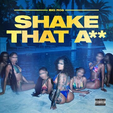 Obálka uvítací melodie Shake That Ass