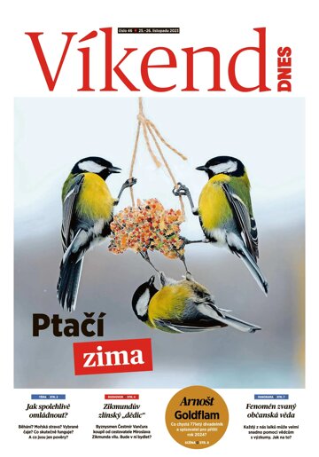 Obálka e-magazínu DNES+ Vysočina - 25.11.2023