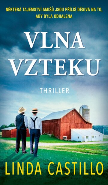 Obálka knihy Vlna vzteku