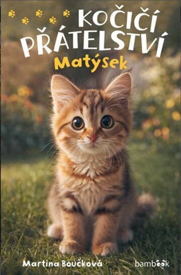 Obálka knihy Kočičí přátelství - Matýsek