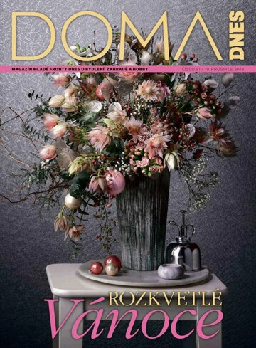 Obálka e-magazínu Doma DNES 19.12.2018