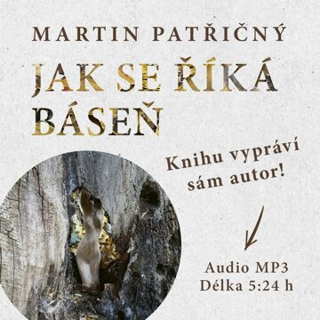 Obálka audioknihy Jak se říká báseň