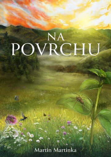 Obálka knihy Na povrchu
