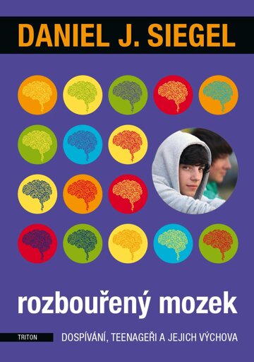 Obálka knihy Rozbouřený mozek