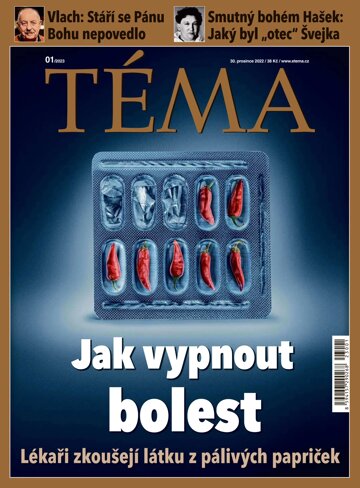 Obálka e-magazínu TÉMA 30.12.2022