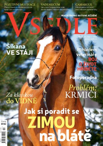 Obálka e-magazínu V sedle 1/2018