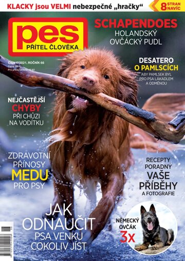 Obálka e-magazínu Pes přítel člověka 6/2021