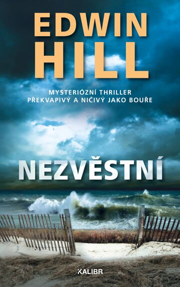 Obálka knihy Nezvěstní