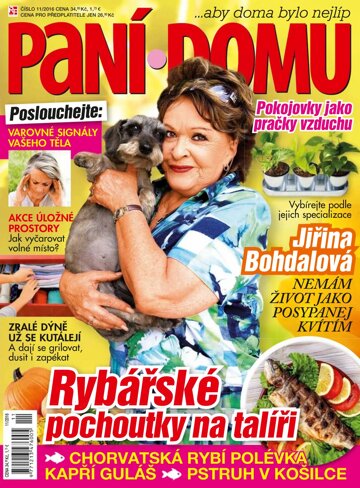 Obálka e-magazínu Paní domu 11/16