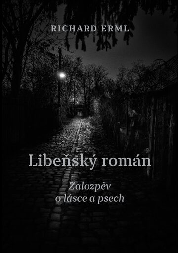 Obálka knihy Libeňský román