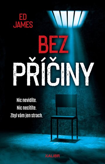 Obálka knihy Bez příčiny