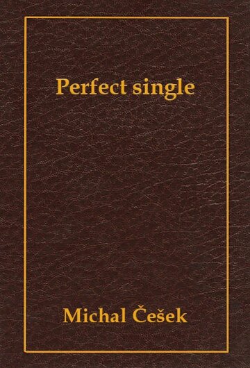 Obálka knihy Perfect Single