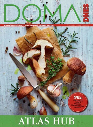 Obálka e-magazínu Doma DNES 26.6.2019