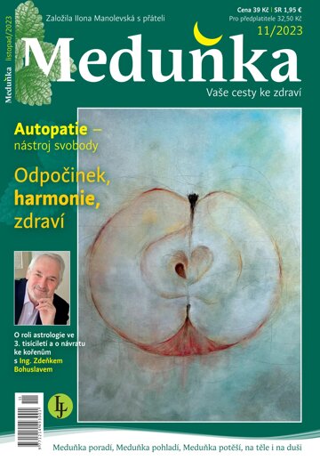 Obálka e-magazínu Meduňka 11/2023