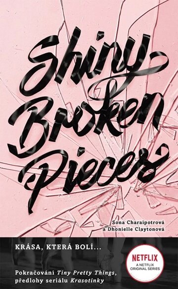 Obálka knihy Shiny Broken Pieces (český jazyk)