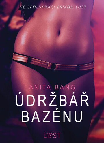 Obálka knihy Údržbář bazénu – Sexy erotika