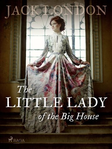 Obálka knihy The Little Lady of the Big House